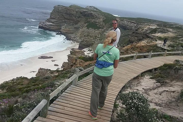 Cape Point Penguins, Chapman's Peak and Constantia Wine: Small-Group Day Tour from Cape Town photo 3