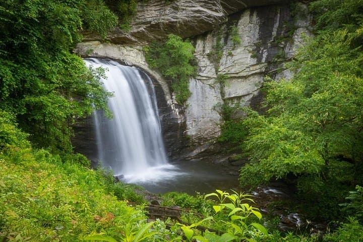 Blue Ridge Half-Day Private Photo Tour from Asheville — Learn Landscape & iPhone Photography photo 6