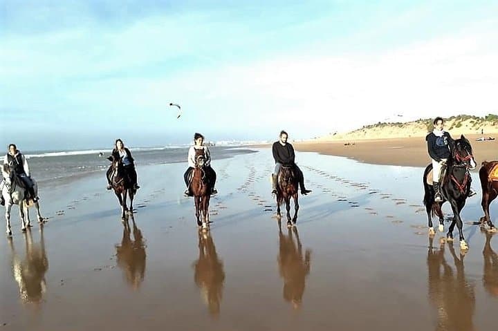 Three-Hour Beach Horseback Ride in Essaouira — Dunes, Eucalyptus & Atlantic Gallops