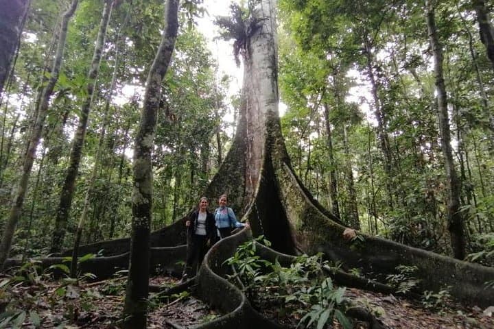 3-Day Amazon Lodge Adventure from Iquitos: Dolphins, Monkey Island & Night Safaris