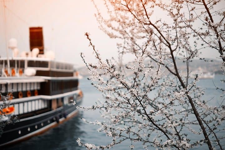 Private Prague to Nuremberg Port Transfer: Door-to-Dock Comfort