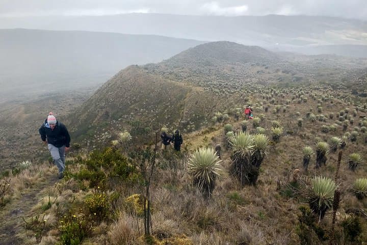 Sumapaz Mountaintop Páramo Trek: High-Altitude 3-Hour Hike from Bogotá photo 2