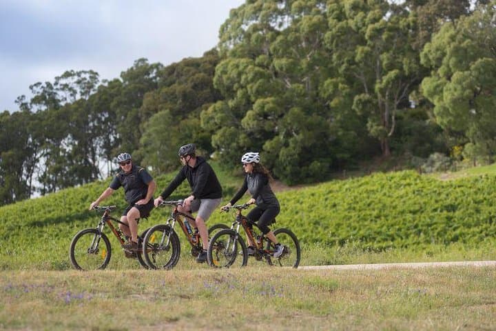 E-Bike Through Hahndorf: Adelaide Hills Wine, Strawberries & Cheese Tour