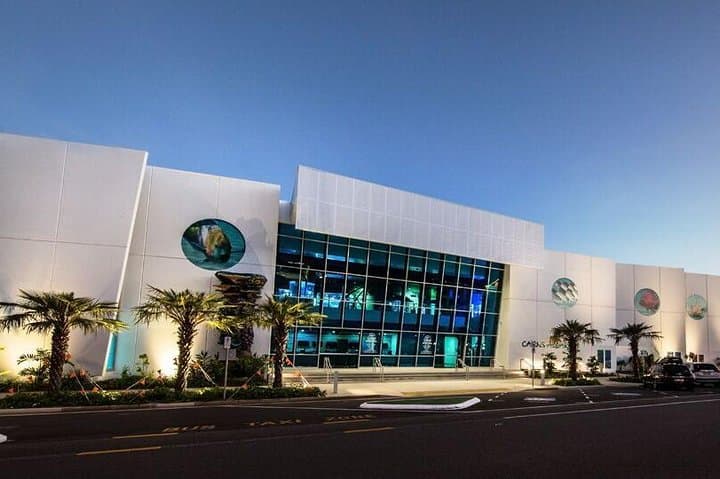 Explore Cairns Aquarium: Rainforest-to-Reef Encounters in Tropical North Queensland photo 2