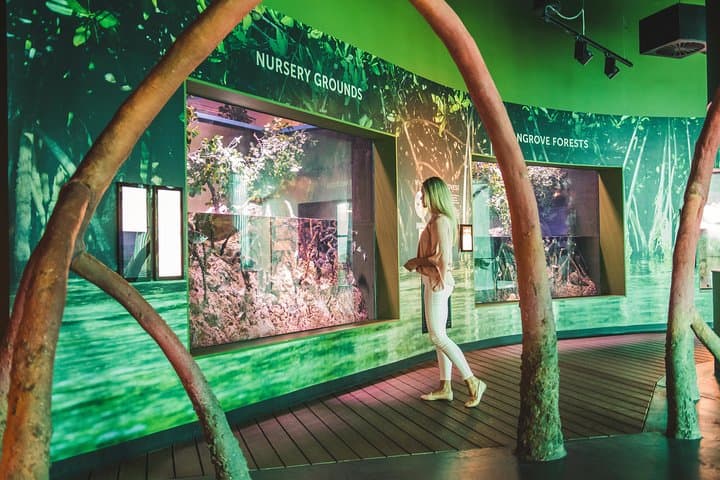 Explore Cairns Aquarium: Rainforest-to-Reef Encounters in Tropical North Queensland photo 4