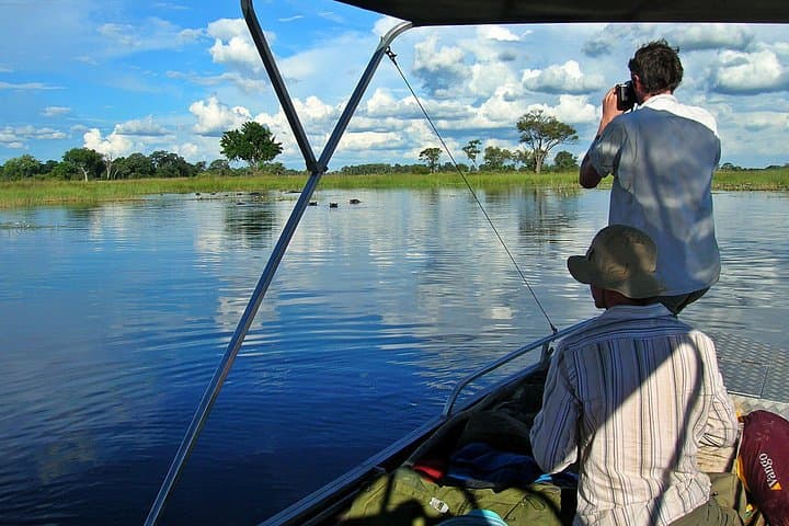 Chobe Full-Day Safari from Victoria Falls: Game Drives & Chobe River Cruise photo 4