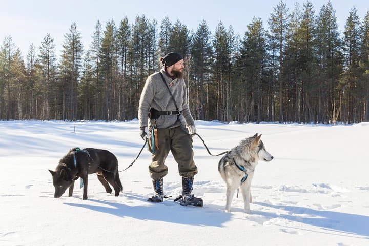 Eye-to-Eye with Arctic Wolfdogs: A Private Day at Wolfland Sanctuary photo 6