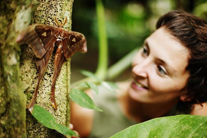Daintree to Cape Tribulation: Kuku Yalanji Guided Rainforest-to-Reef Cultural Day Tour photo 5