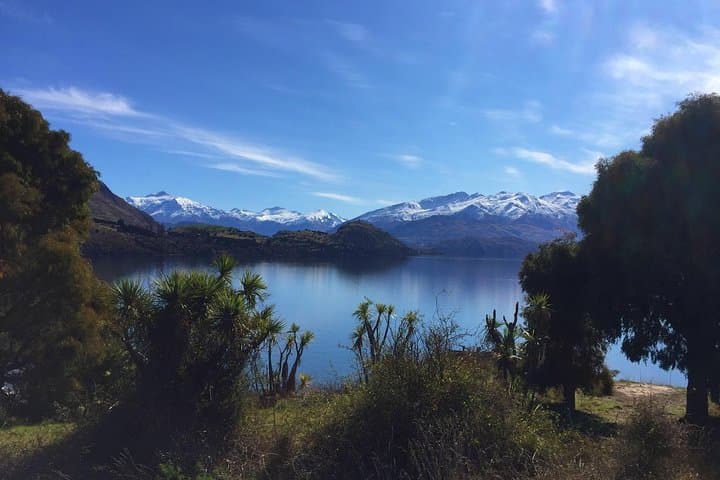 Ruby Island Cruise and Walk: 1-Hour Scenic Lake Wanaka Boat Tour