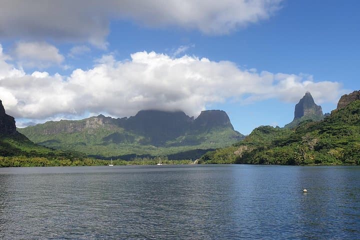 Moorea Lagoon Tour: Swim with Turtles, Rays & Blacktip Sharks photo 2