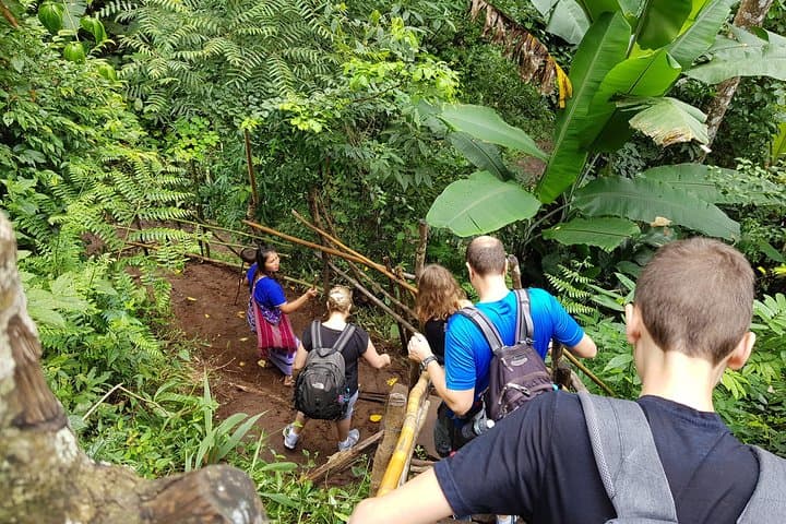 Doi Inthanon Private Hiking Tour: Summit, Waterfalls & Hill-Tribe Coffee