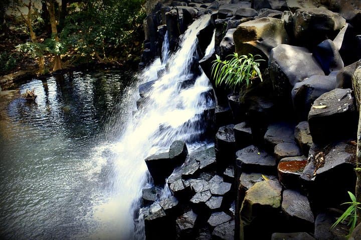 Discovery Tour 35km: Quad Along Gris-Gris Cliffs, Rochester Falls & Crocodile Park (Mauritius) photo 5
