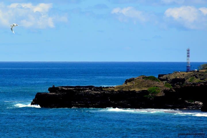 Sweet Scenic 30KM: Southern Mauritius Off‑Road Drive & Private Waterfall Swim photo 5