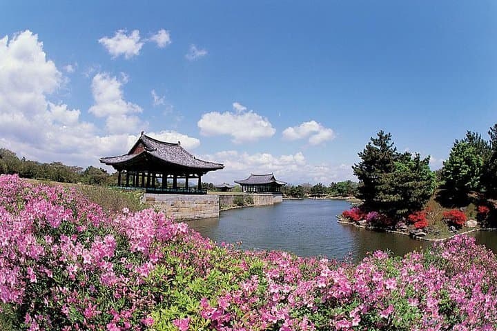 Exploring South Korea in 7 Days: A Small-Group Journey Through Seoul, Busan, Gyeongju, and Jeju photo 6