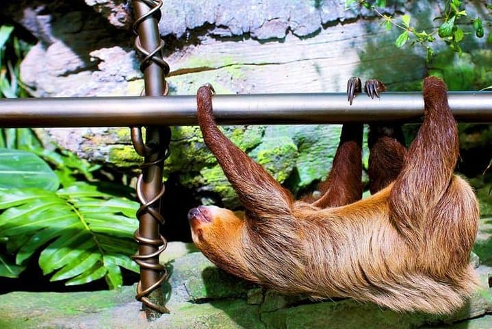 Inside Dubai’s Green Planet: A Vertical Rainforest Experience at City Walk photo 5