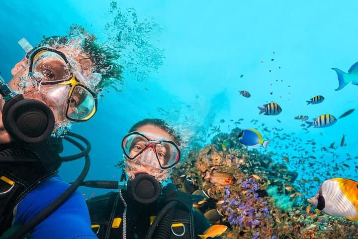 Full-Day Scuba Diving from Hurghada — Introductory Red Sea Reefs photo 5