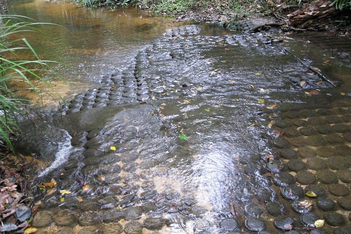 Kbal Spean & Banteay Srei: One-Day Private Jungle Walk from Siem Reap photo 2