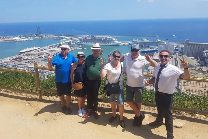 Private Half-Day Barcelona Sightseeing: Local Driver Tour of Gaudí & Gothic Quarter
