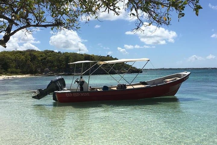 Private Snorkel and Exclusive West Coast Beach Tour in Antigua photo 3