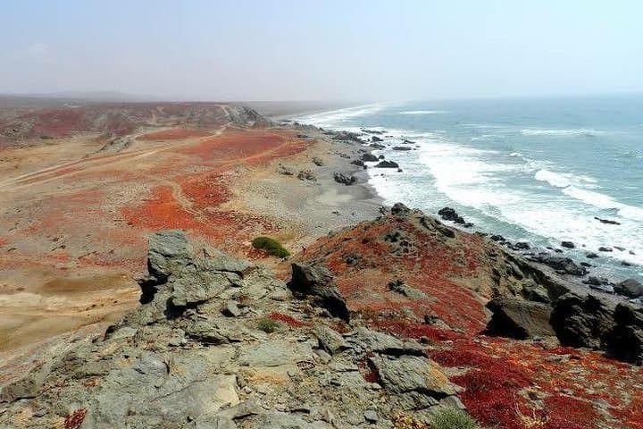 Legzira Beach & Sidi Ifni Day Trip from Agadir: Red-Arched Coastline and Tiznit Medina photo 4