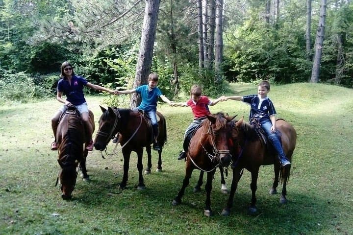 Short Horseback Ride in Biogradska Gora — Kolasin's Mountain Trails photo 5