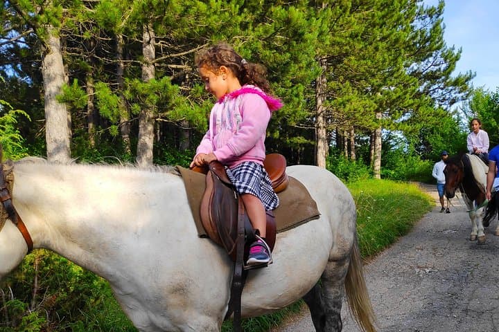 Short Horseback Ride in Biogradska Gora — Kolasin's Mountain Trails photo 6