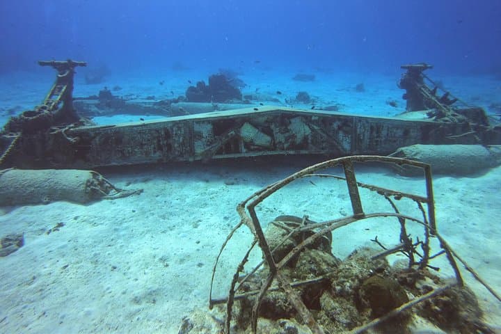 Cozumel One-Tank Shore Dive: Guided Reef Dive to 35 ft with Equipment photo 2