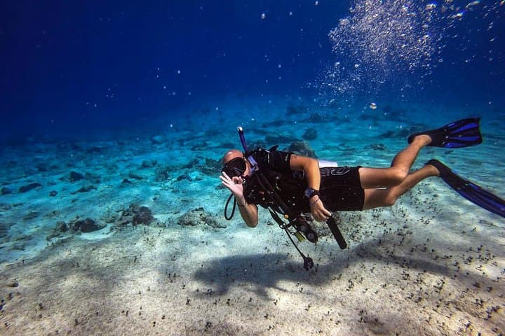Cozumel One-Tank Shore Dive: Guided Reef Dive to 35 ft with Equipment photo 4