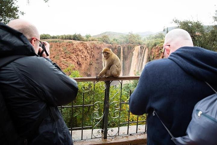 Ouzoud Waterfalls Day Trip from Marrakech — Guide to the 110m Cascades and Magot Monkeys photo 5