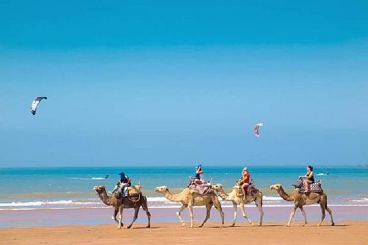 Day Trip to Essaouira: Atlantic Coast, Argan Groves & Coastal Walks from Marrakesh photo 1