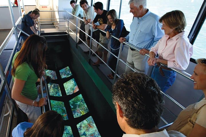 Key West Glass-Bottom Boat Tour: Coral Reef Cruise & Sunset Option photo 6