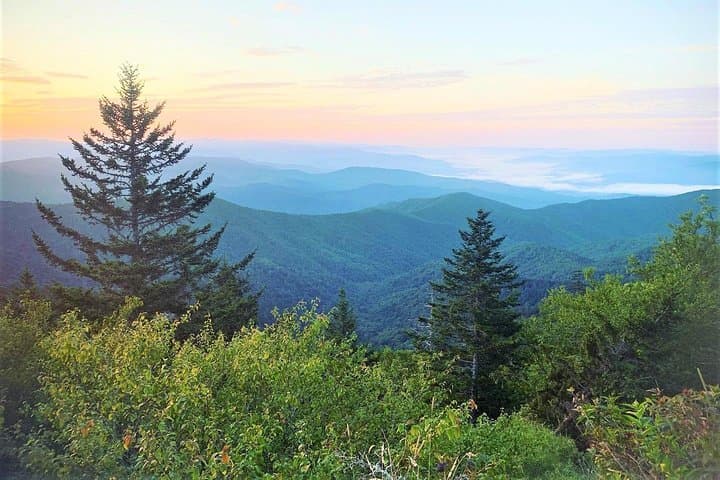 Smoky Mountains Fall Color Guided Hike from Gatlinburg photo 5