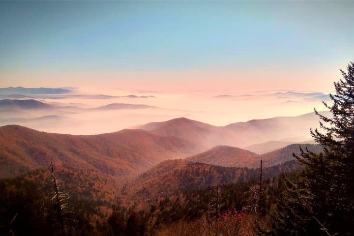 Smoky Mountains Fall Color Guided Hike from Gatlinburg photo 6