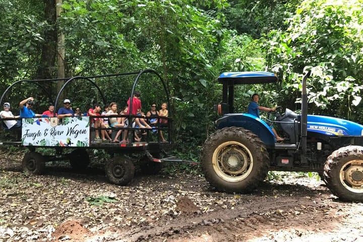 puntarenas-jungle-and-river-wagon-expedition-tarcoles-crocodiles-and-birding photo 2