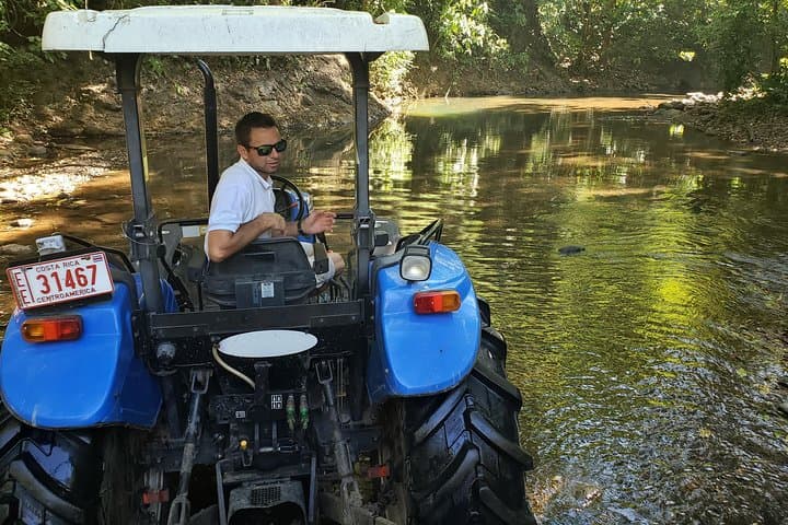 puntarenas-jungle-and-river-wagon-expedition-tarcoles-crocodiles-and-birding photo 3