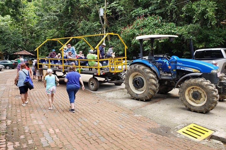 puntarenas-jungle-and-river-wagon-expedition-tarcoles-crocodiles-and-birding photo 5