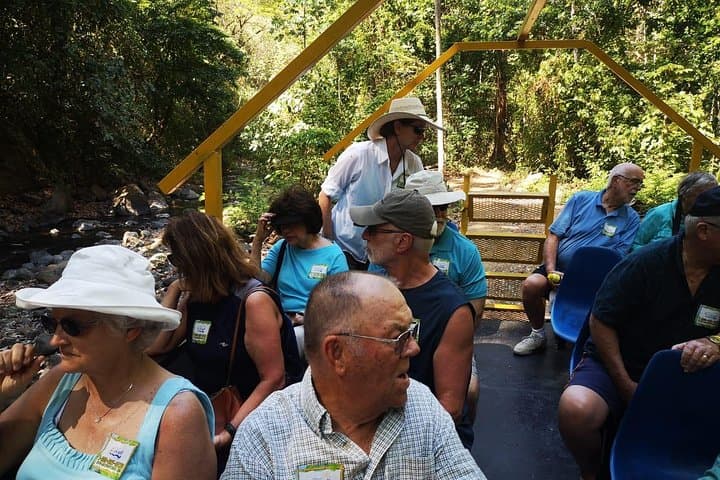 puntarenas-jungle-and-river-wagon-expedition-tarcoles-crocodiles-and-birding photo 6