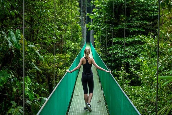 Puntarenas Rainforest Hanging Bridges & Tarcoles River Boat Tour