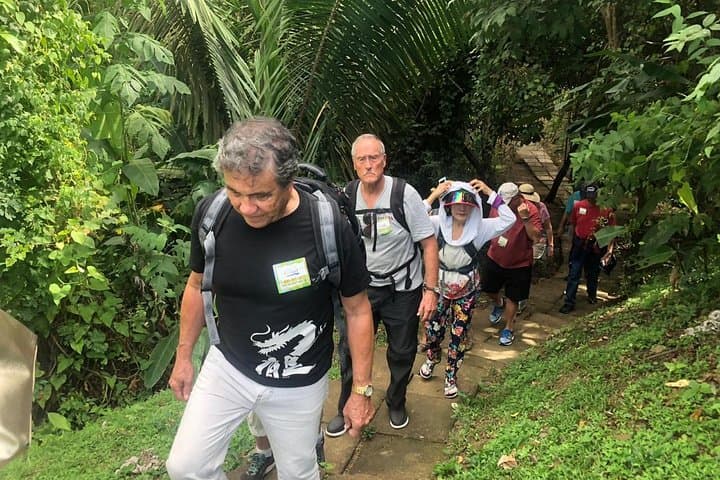 Puntarenas Rainforest Hanging Bridges & Tarcoles River Boat Tour photo 4