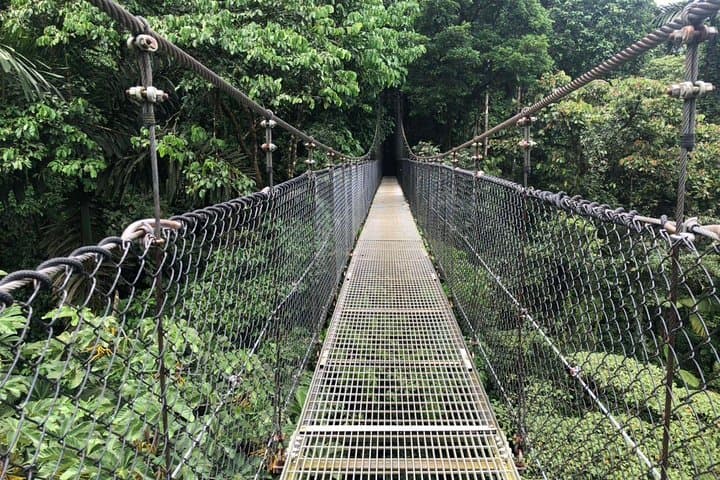 Puntarenas Rainforest Hanging Bridges & Tarcoles River Boat Tour photo 5