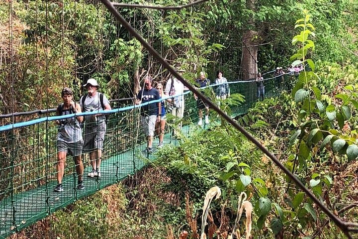 Puntarenas Rainforest Hanging Bridges & Tarcoles River Boat Tour photo 6