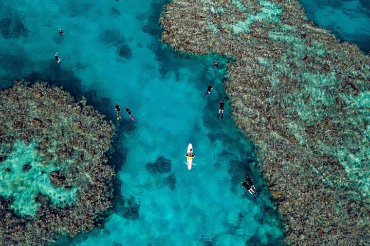 Full-Day Snorkel at Bait Reef — Great Barrier Reef from Hamilton Island photo 4