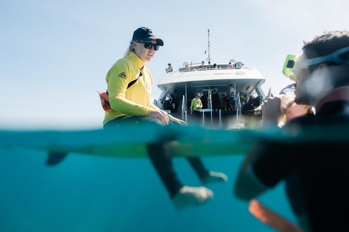 Full-Day Snorkel at Bait Reef — Great Barrier Reef from Hamilton Island photo 6