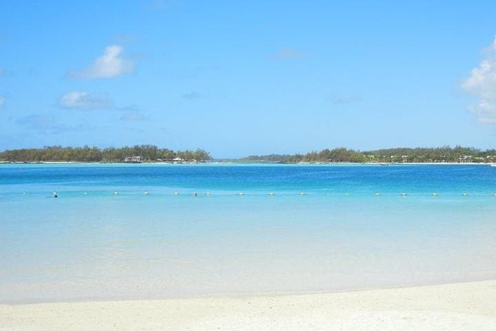 South Mauritius Day Tour: Blue Bay Glass-Bottom Boat, Snorkelling & La Vanille Reserve photo 5