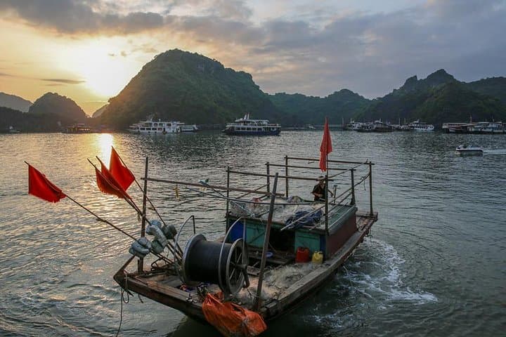 Lan Ha & Ha Long Bay: Day Cruise, Kayak Lagoons and Night Bioluminescent Paddle photo 4