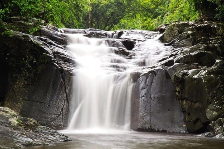 Pala-U Waterfall Day Trip from Hua Hin: Kaeng Krachan Jungle with Private Guide
