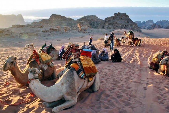 Petra and Wadi Rum in One Day: A Practical Guide to Jordan’s Desert Icons photo 3