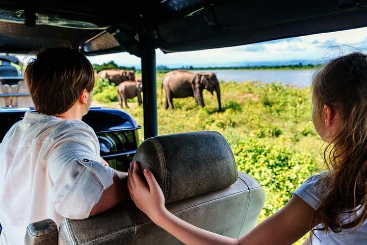 Udawalawe National Park Safari and Elephant Transit Home Visit photo 6