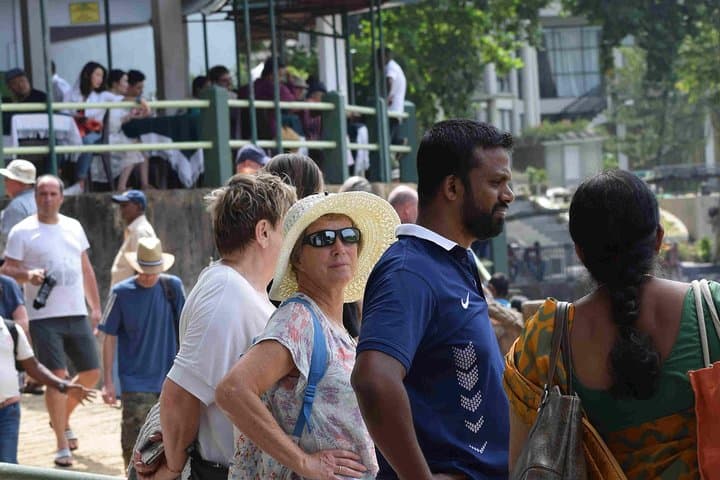 9-Day Amazing Sri Lanka Tour: Culture, Wildlife & Beaches photo 3