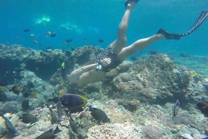 Blue Lagoon Bali Snorkeling: All-Inclusive Padangbai Day Tour photo 2